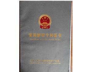 专利封面