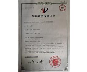 专利内页